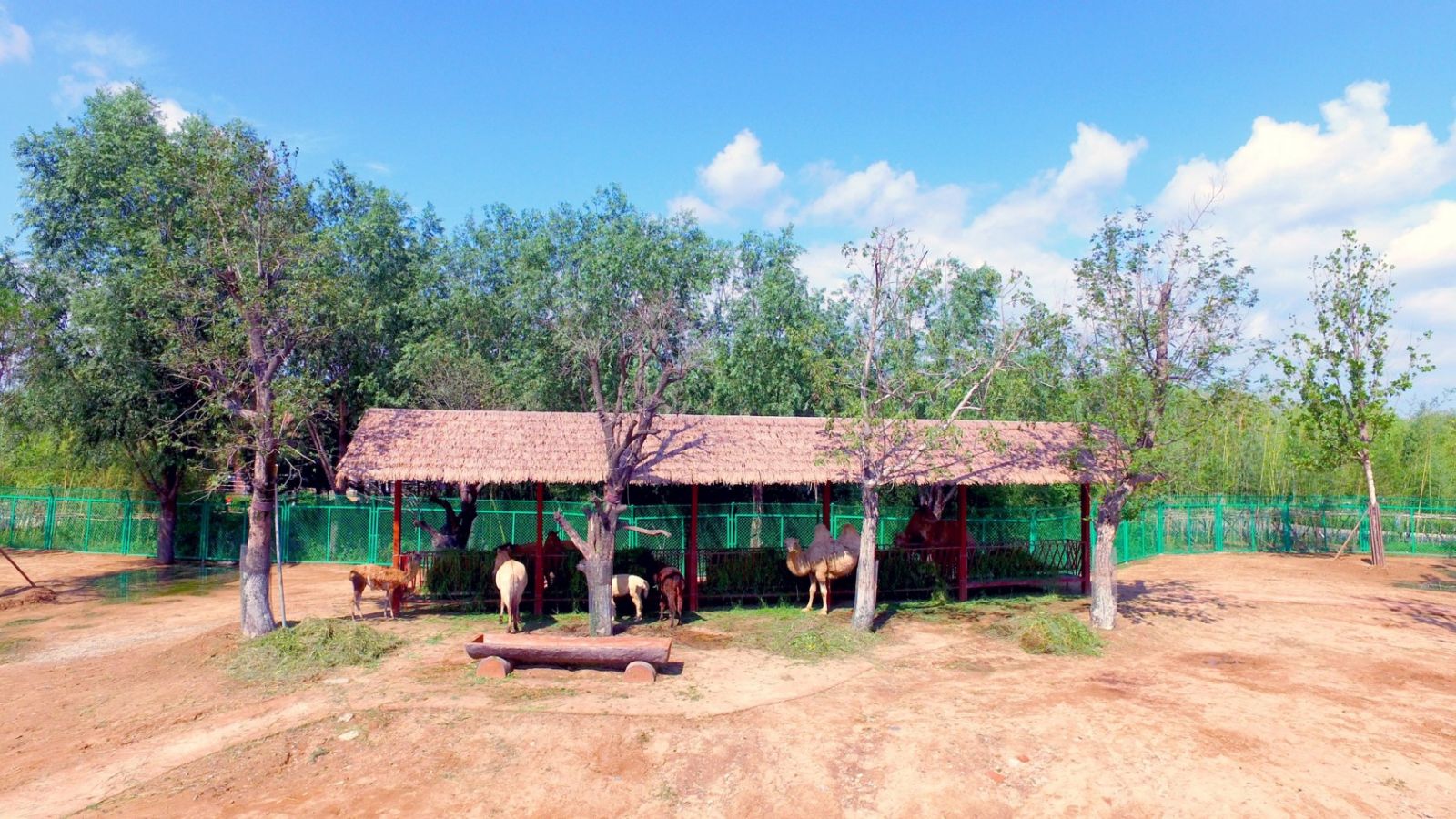 園冶杯專業(yè)獎：臨沂動植物園散養(yǎng)區(qū)景觀設(shè)計