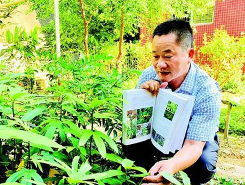 中學(xué)教師找到20余種少見(jiàn)或無(wú)記錄珍稀植物