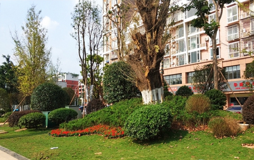 園冶杯專業(yè)獎(jiǎng)：資陽市嬌子大道綜合整治建設(shè)工程-節(jié)點(diǎn)景觀提升