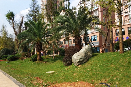 園冶杯專業(yè)獎(jiǎng)：資陽市嬌子大道綜合整治建設(shè)工程-節(jié)點(diǎn)景觀提升