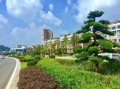 園冶杯專業(yè)獎(jiǎng)：資陽市嬌子大道綜合整治建設(shè)工程-節(jié)點(diǎn)景觀提升