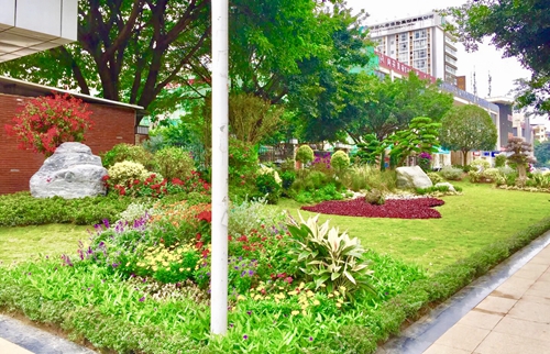 園冶杯專業(yè)獎(jiǎng)：資陽市嬌子大道綜合整治建設(shè)工程-節(jié)點(diǎn)景觀提升