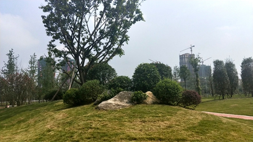 園冶杯專業(yè)獎(jiǎng)：資陽(yáng)高新區(qū)中韓創(chuàng)新創(chuàng)業(yè)園資陽(yáng)基地華西牙科產(chǎn)業(yè)園景觀工程