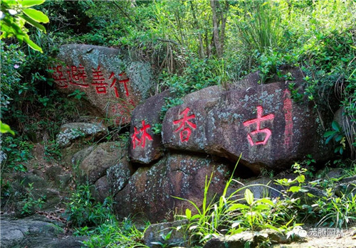林城山水中，享一份寧靜——廣東中山國家森林公園