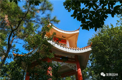 林城山水中，享一份寧靜——廣東中山國家森林公園