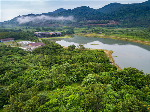 生物多樣性，讓你的景觀設(shè)計更有活力