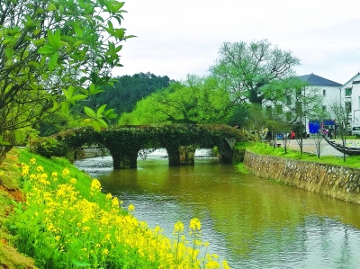 專家談鄉(xiāng)村景觀的保護(hù)與利用