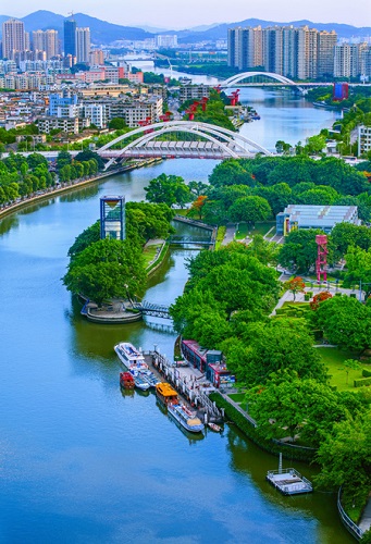 森林城市：涂抹“綠”生活