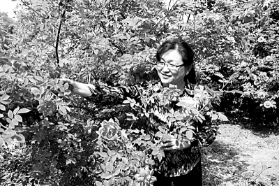 世園會(huì)鮮花盛開背后的自主創(chuàng)新