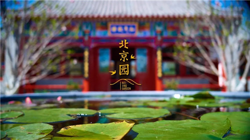2019園冶杯專業(yè)獎丨2019北京世園會北京園