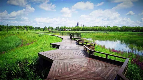 2019園冶杯專業(yè)獎丨樺南幸福濕地公園景觀設(shè)計(jì)