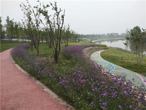 2019園冶杯專業(yè)獎丨灃河綜合治理二期西漢高速—G310國道景觀設(shè)計