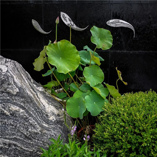 2019園冶杯專業(yè)獎(jiǎng)丨沈陽(yáng)龍湖九里晴川示范區(qū)