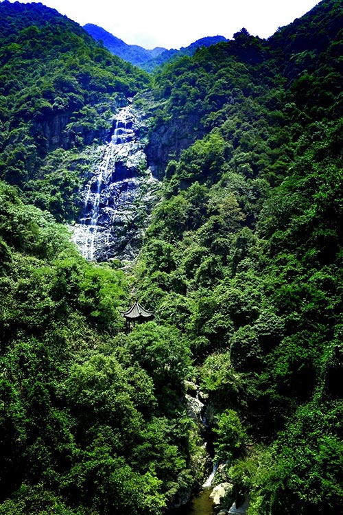 2019年園冶杯專業(yè)獎(jiǎng)|廬山桃花源景區(qū)工程