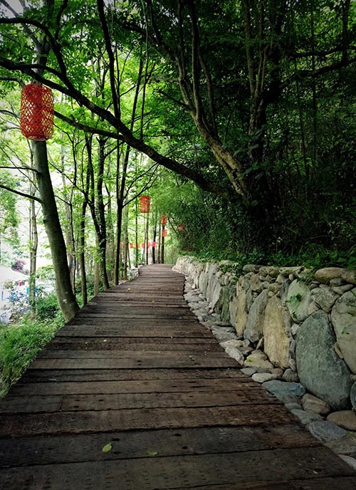 2019年園冶杯專業(yè)獎(jiǎng)|廬山桃花源景區(qū)工程