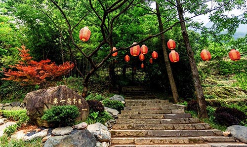 2019年園冶杯專業(yè)獎(jiǎng)|廬山桃花源景區(qū)工程
