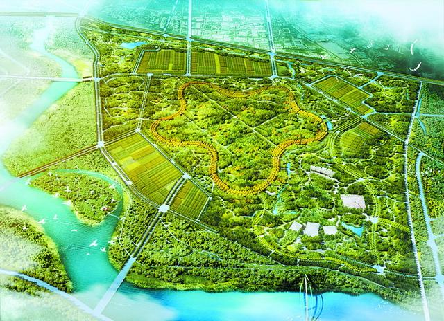 北京城市副中心5.5公里星形園路全線貫通，預計年底前增綠8000畝