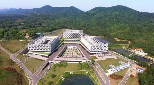 韓冬青：建筑更加安全的城市