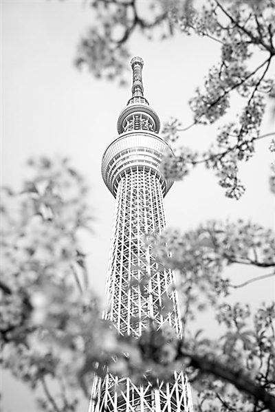 日本的實(shí)踐：深度老齡化社會(huì)的國(guó)土空間規(guī)劃