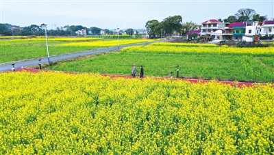 中國旅游危中求機(jī)謀轉(zhuǎn)型