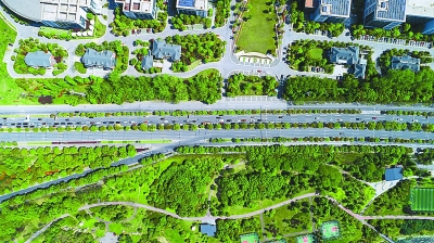 積極創(chuàng)建國(guó)家森林城市