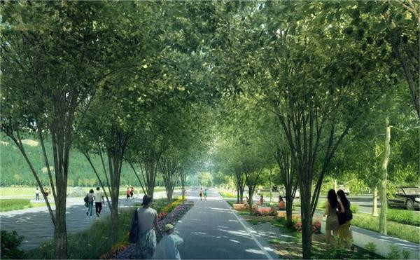 北京冬奧會規(guī)劃設(shè)計都有哪些亮點？