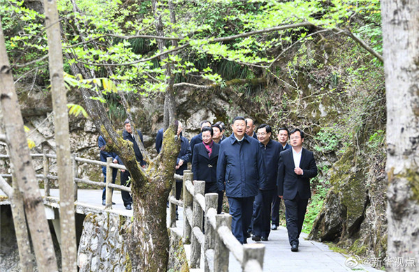 習(xí)近平：要做守護(hù)秦嶺生態(tài)的衛(wèi)士