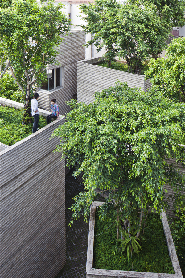 House for Trees:綠色建筑新模式