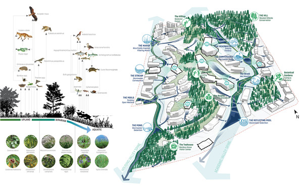 信陽(yáng)學(xué)院南灣校區(qū)校園規(guī)劃