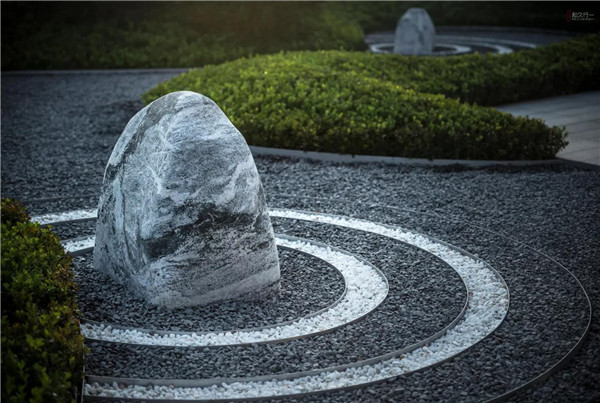 回歸初心,因“和”而來——南海·雁歸來