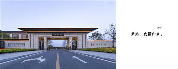 回歸初心,因“和”而來——南海·雁歸來