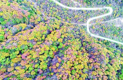 楊銳:在秦巴山脈構(gòu)建國(guó)家公園