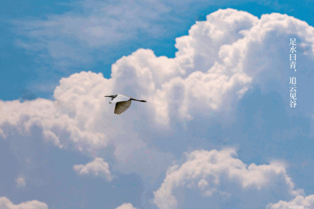 GND設計丨裕和溪涌青谷售樓處