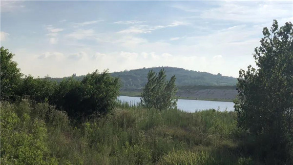 青島桃李春風生活體驗區