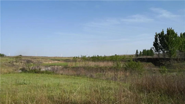 青島桃李春風生活體驗區