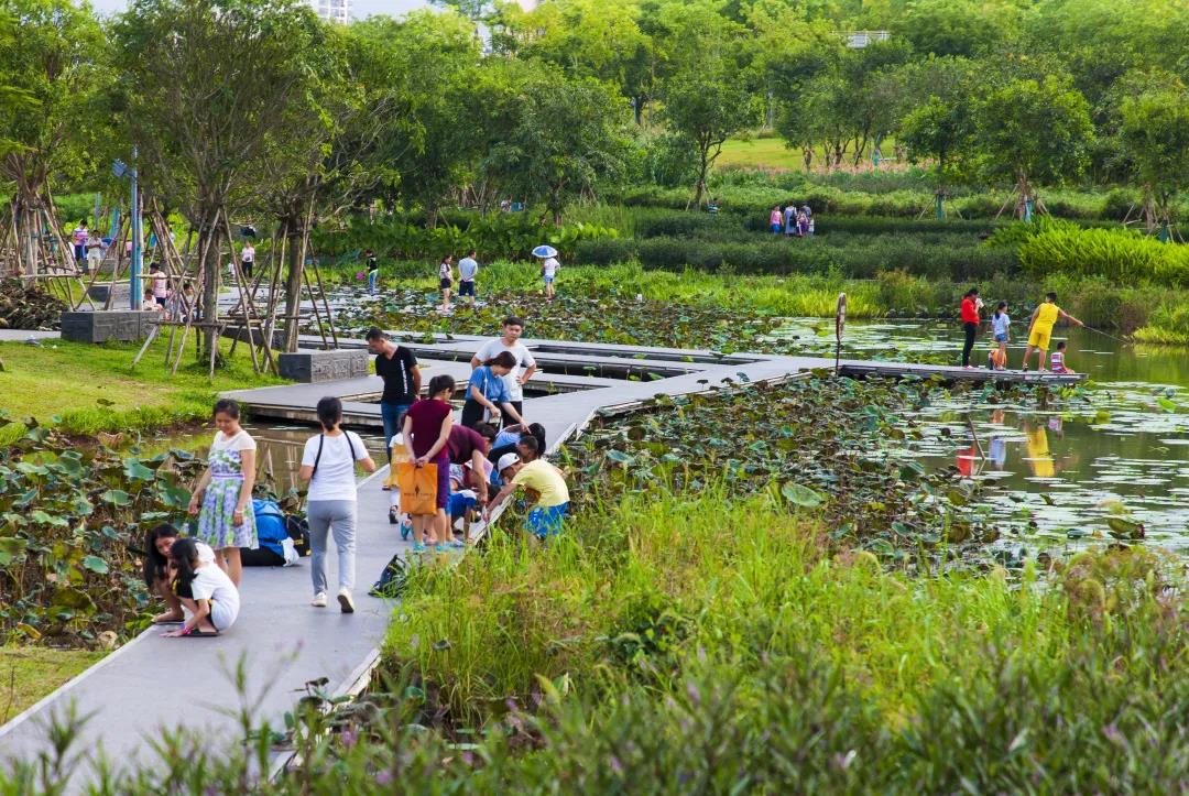 俞孔堅:城市兒童需要怎樣的樂園?