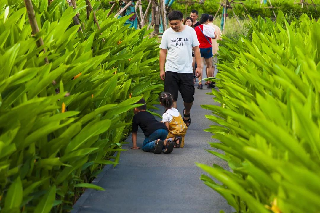 俞孔堅:城市兒童需要怎樣的樂園?