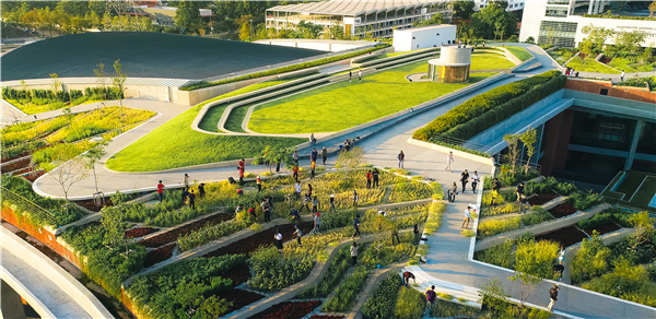 泰國國立法政大學(xué)城市屋頂農(nóng)場
