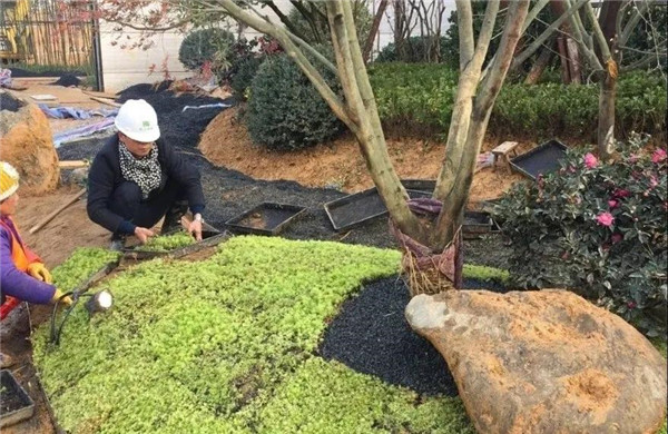 南昌金地金茂正榮悅風華示范區