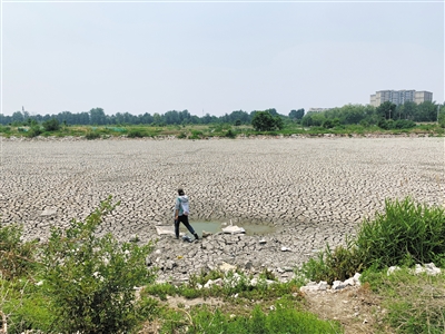 北京城六區最后一片荒野該如何保護?
