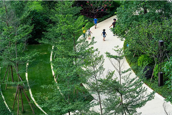 湖島立體花園居游記丨惠州奧園譽山湖