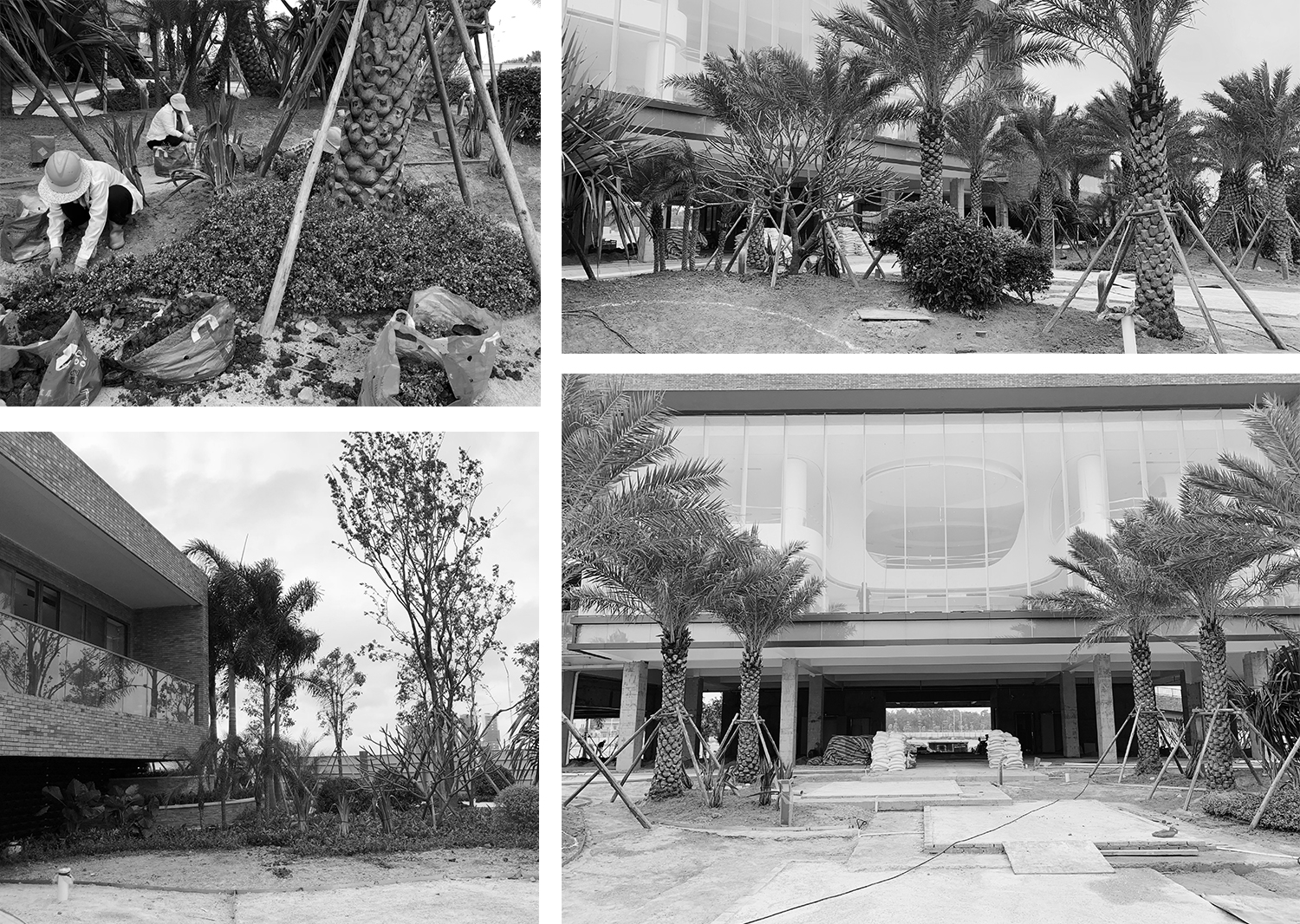 希爾景觀丨茂名華僑城歌美海純水岸