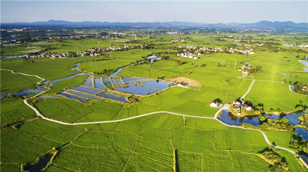 段進院士:關于《國土空間規劃城市設計指南》編制工作的幾點思考