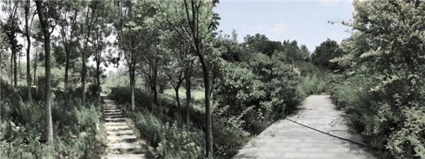 棲地設計丨鄭州滎陽融創?御棲玖里