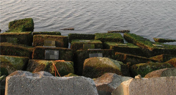 耿火樂(lè):蘭堤防體系-順應(yīng)大自然的演變