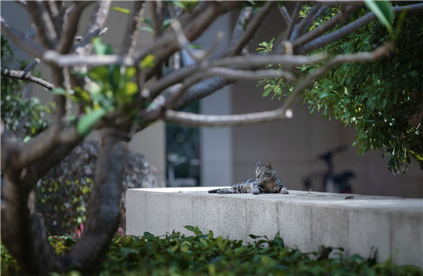 怡境設(shè)計(jì)丨廣州南沙時(shí)代·香海彼岸