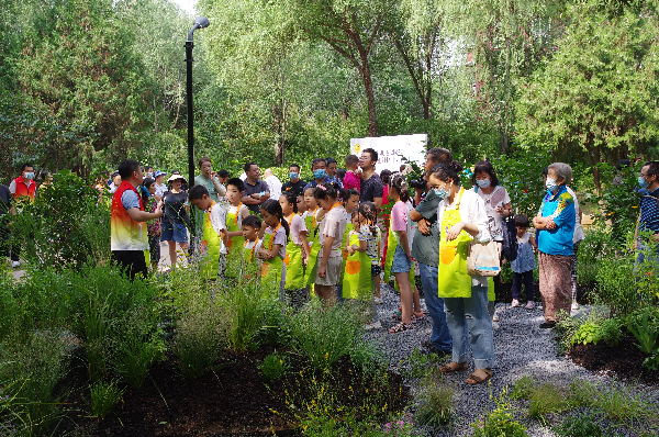 共享“海綿”福利 共建雨水花園