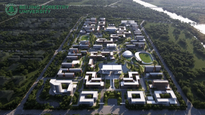 北京林業大學學雄安校區總體規劃方案發布