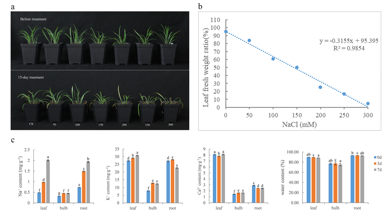 園冶杯一等獎得主孫紹營：研究“草原最美的花”