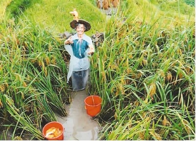 保護和推廣農(nóng)業(yè)遺產(chǎn)在哪些方面獲得成功？